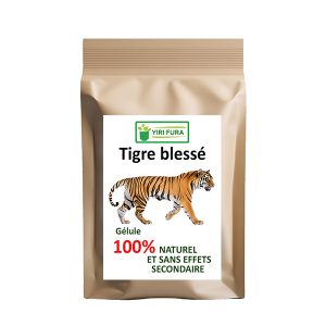 TIGRE BLESSÉ