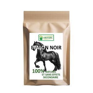 ÉTALON NOIR